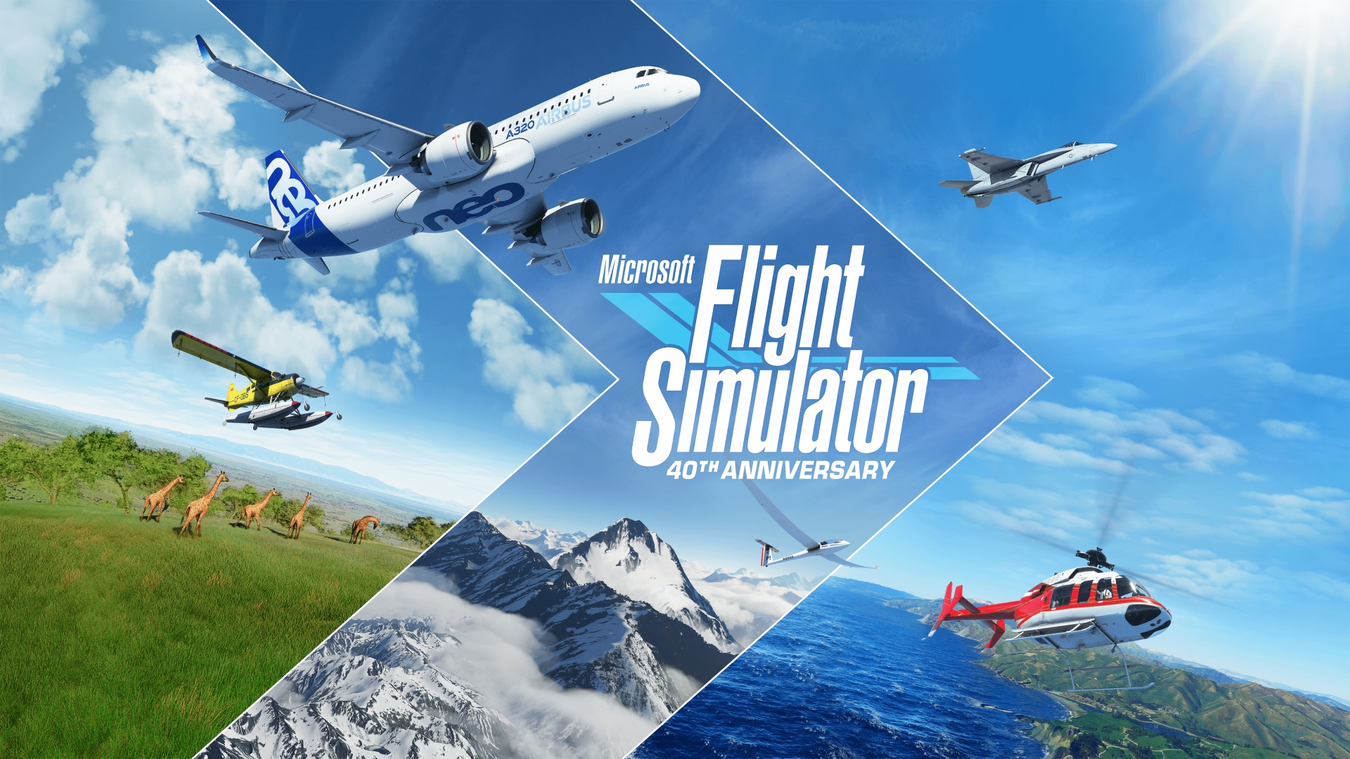 Microsoft Flight Simulator